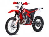 2012 GAS GAS EC 250 photo